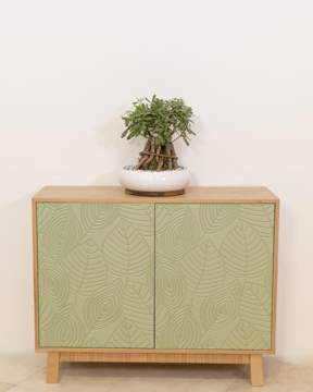 تصویر از کنسول(جاکفشی) طبیعت